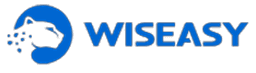 wiseasy